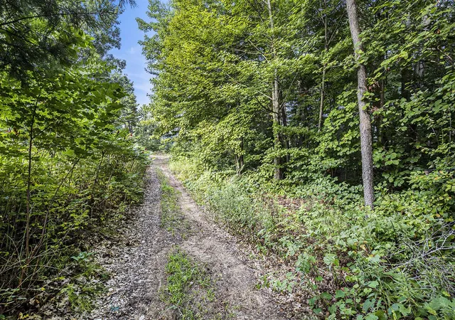 Photo 4 of Land for sale at 12487 Horseshoe Dr, Gowen, MI 49326 | MLS# 70551186 | Listing updated on 2026-08-08