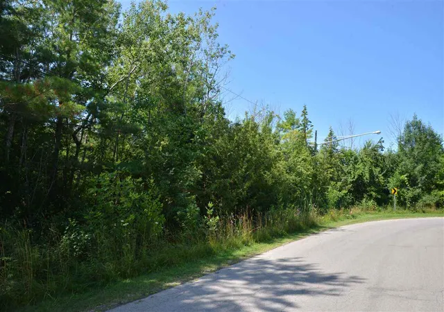 Photo 1 of Land for sale at 00 W Third St, Elk Rapids, MI 49629 | MLS# 1299133 | Listing updated on 2026-08-11