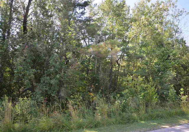 Homes for sale in Elk Rapids, MI | 00 W Third St, Elk Rapids, MI 49629 | MLS# 1299133