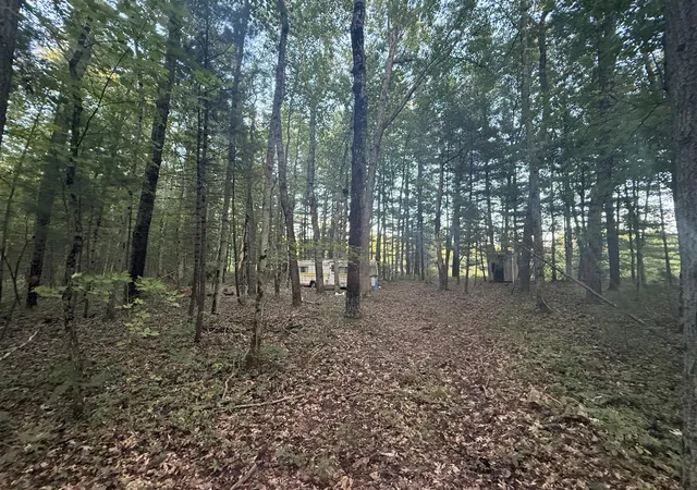 Photo 1 of Land for sale at 5860 Honeybear Ave, Baldwin, MI 49304 | MLS# 70548107 | Listing updated on 2026-09-08
