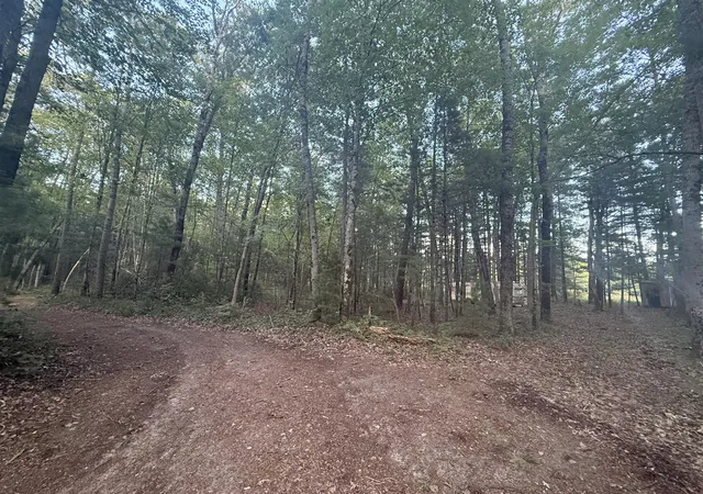 Photo 2 of Land for sale at 5860 Honeybear Ave, Baldwin, MI 49304 | MLS# 70548107 | Listing updated on 2026-09-08