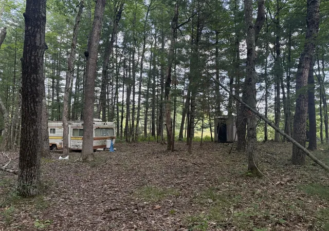 Photo 3 of Land for sale at 5860 Honeybear Ave, Baldwin, MI 49304 | MLS# 70548107 | Listing updated on 2026-09-08