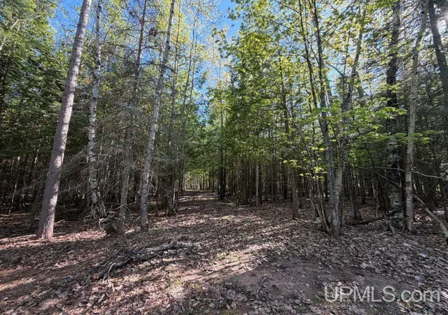 Homes for sale in Big Bay, MI | Off County Rd Kd Rd, Big Bay, MI 49808 | MLS# 50210886