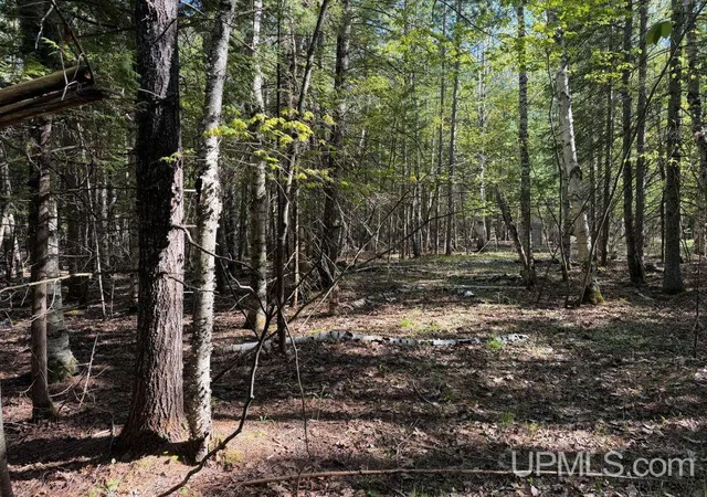 Homes for sale in Big Bay, MI | Off County Rd Kd Rd, Big Bay, MI 49808 | MLS# 50210886
