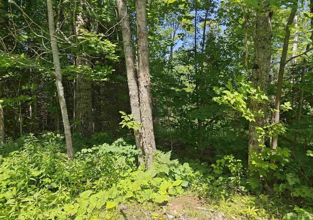Photo 1 of Land for sale at Tbd Off Woodspur Rd, Ontonagon, MI 49953 | MLS# 50218054 | Listing updated on 2026-08-31