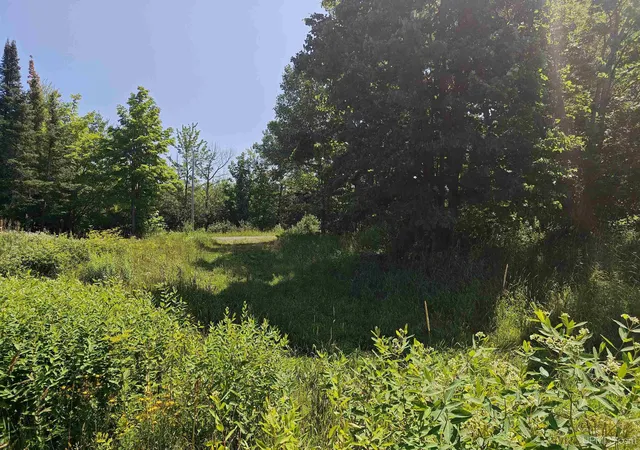 Photo 2 of Land for sale at Tbd Off Woodspur Rd, Ontonagon, MI 49953 | MLS# 50218054 | Listing updated on 2026-08-31