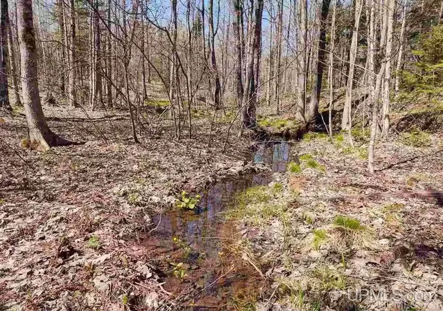 Photo 3 of Land for sale at Tbd Off Woodspur Rd, Ontonagon, MI 49953 | MLS# 50218054 | Listing updated on 2026-08-31
