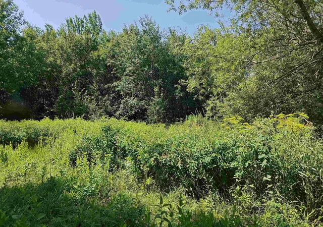 Photo 4 of Land for sale at Tbd Off Woodspur Rd, Ontonagon, MI 49953 | MLS# 50218054 | Listing updated on 2026-08-31