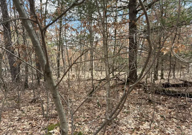 Photo 3 of Land for sale at Vl W Lexington, Baldwin, MI 49304 | MLS# 70524233 | Listing updated on 2026-07-13