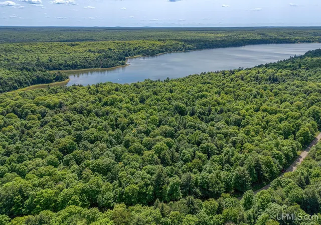 Photo 2 of Land for sale at On University Lot 27 Rd, Iron River, MI 49935 | MLS# 50218228 | Listing updated on 2026-08-12