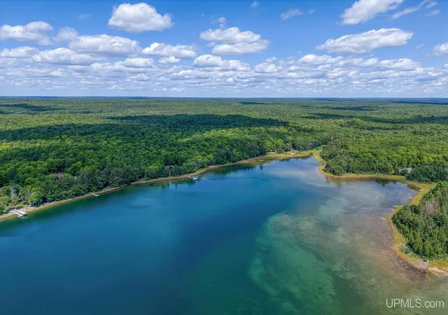 Photo 4 of Land for sale at On University Lot 27 Rd, Iron River, MI 49935 | MLS# 50218228 | Listing updated on 2026-08-12