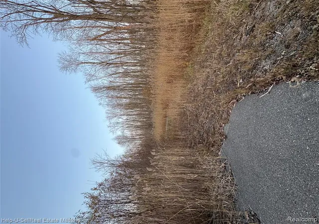 Photo 3 of Land for sale at Tbd Metcalf Rd, Lakeport, MI 48059 | MLS# 60953713 | Listing updated on 2025-11-25