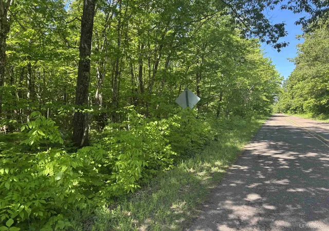 Homes for sale in Hancock, MI | Tbd 2 Forsman Rd, Hancock, MI 49930 | MLS# 50214231