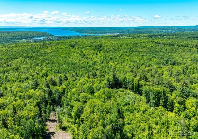 Homes for sale in Hancock, MI | Tbd 2 Forsman Rd, Hancock, MI 49930 | MLS# 50214231