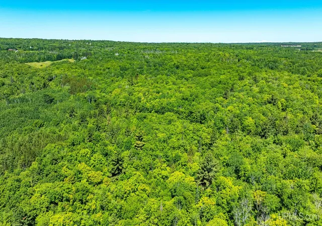 Homes for sale in Hancock, MI | Tbd 2 Forsman Rd, Hancock, MI 49930 | MLS# 50214231