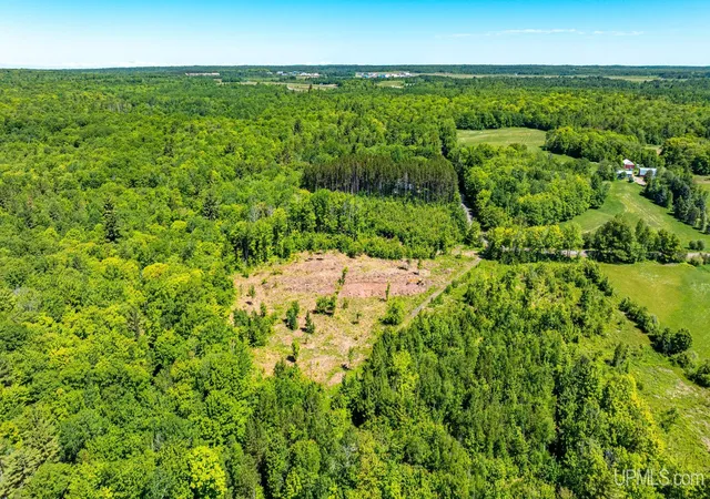 Homes for sale in Hancock, MI | Tbd 2 Forsman Rd, Hancock, MI 49930 | MLS# 50214231