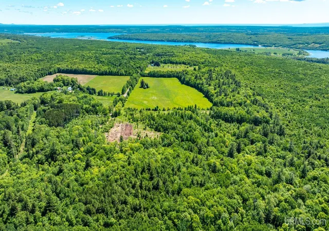 Homes for sale in Hancock, MI | Tbd 2 Forsman Rd, Hancock, MI 49930 | MLS# 50214231
