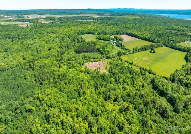 Homes for sale in Hancock, MI | Tbd 2 Forsman Rd, Hancock, MI 49930 | MLS# 50214231