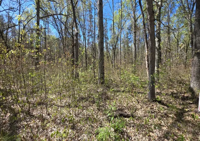 Homes for sale in Free Soil, MI | E Hoague Rd, Free Soil, MI 49411 | MLS# 70525920