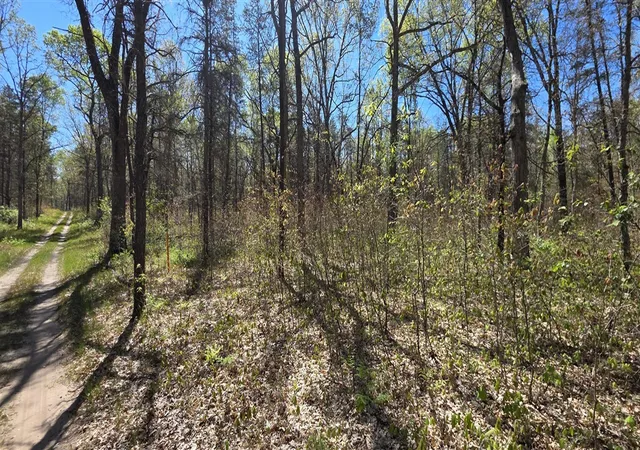 Homes for sale in Free Soil, MI | E Hoague Rd, Free Soil, MI 49411 | MLS# 70525920