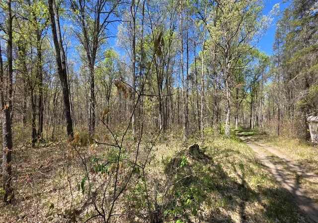 Homes for sale in Free Soil, MI | E Hoague Rd, Free Soil, MI 49411 | MLS# 70525920