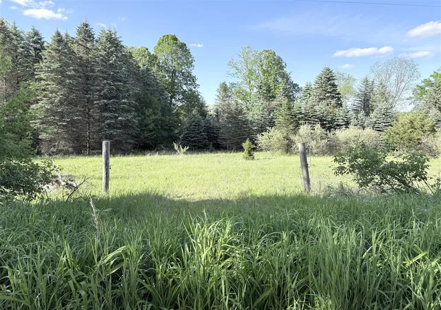 2nd image of E Riverside Dr, Ionia, MI 48846 | MLS# 70537588