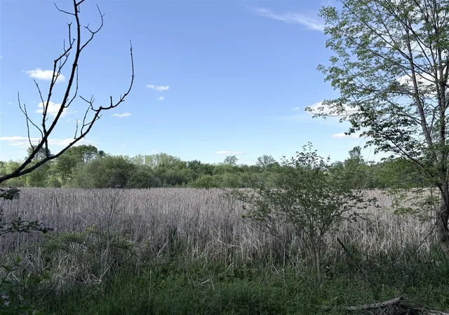 3rd image of E Riverside Dr, Ionia, MI 48846 | MLS# 70537588