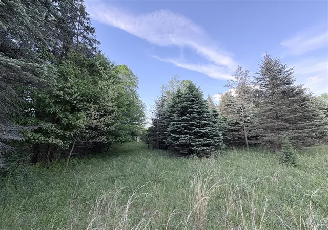 4th image of E Riverside Dr, Ionia, MI 48846 | MLS# 70537588