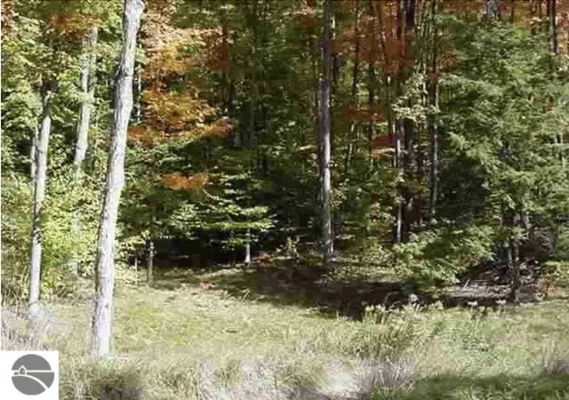 Homes for sale in Kewadin, MI | Vl#7 Timber Valley Ct, Kewadin, MI 49648 | MLS# 80067659