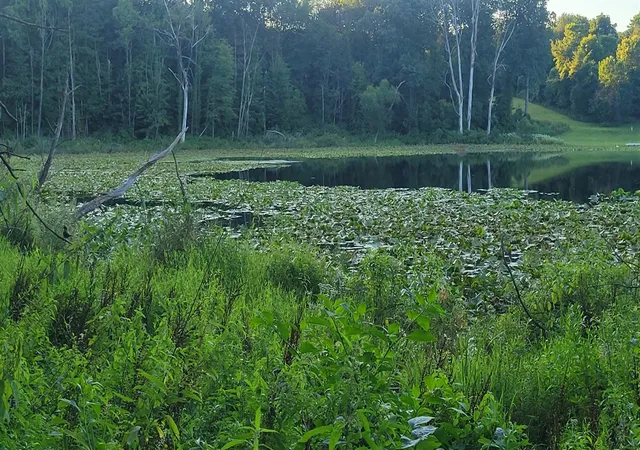 4th image of 44702 56Th Ave, Paw Paw, MI 49079 | MLS# 70503133
