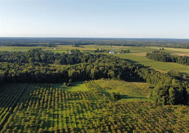 5th image of 44702 56Th Ave, Paw Paw, MI 49079 | MLS# 70503133