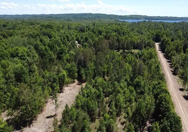 Homes for sale in Bear Lake, MI | 567 Acres Norconk Rd, Bear Lake, MI 49614 | MLS# 80070586