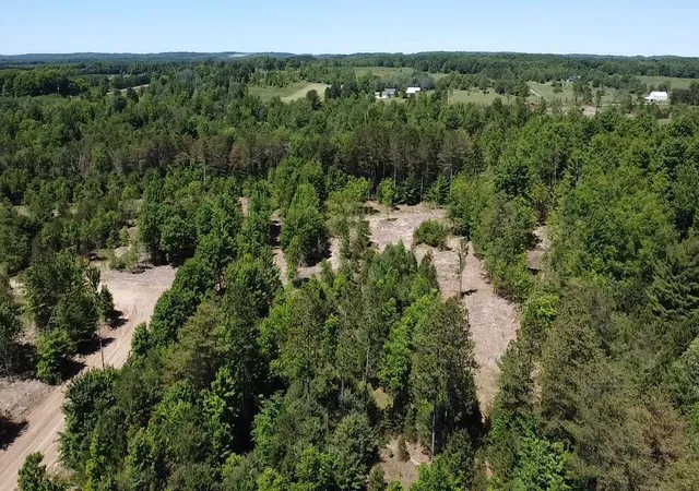 Homes for sale in Bear Lake, MI | 567 Acres Norconk Rd, Bear Lake, MI 49614 | MLS# 80070586