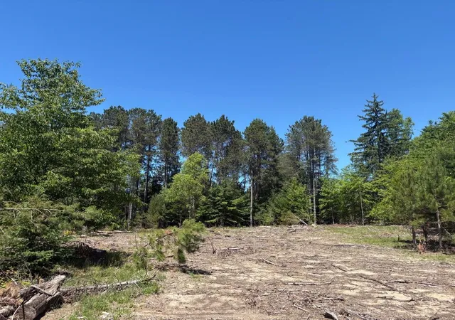 Homes for sale in Bear Lake, MI | 567 Acres Norconk Rd, Bear Lake, MI 49614 | MLS# 80070586