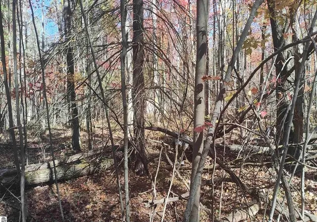 Photo 3 of Land for sale at 4375 Parke Trl, Prescott, MI 48756 | MLS# 70554779 | Listing updated on 2026-09-15