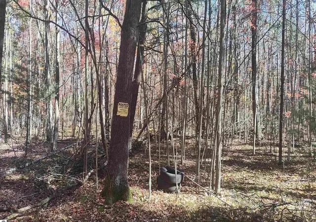 Photo 3 of Land for sale at 4375 Parke Trl, Prescott, MI 48756 | MLS# 70554779 | Listing updated on 2026-09-15
