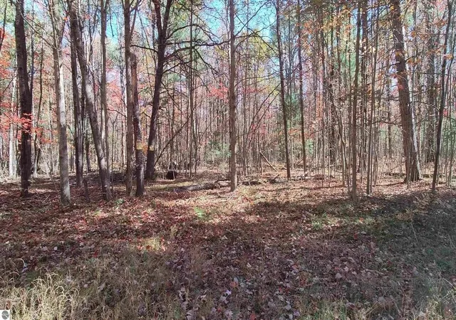 Photo 4 of Land for sale at 4375 Parke Trl, Prescott, MI 48756 | MLS# 70554779 | Listing updated on 2026-09-15