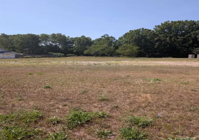 Photo 3 of Land for sale at V/l W Ludington, Lake, MI 48632 | MLS# 50102631 | Listing updated on 2026-08-21
