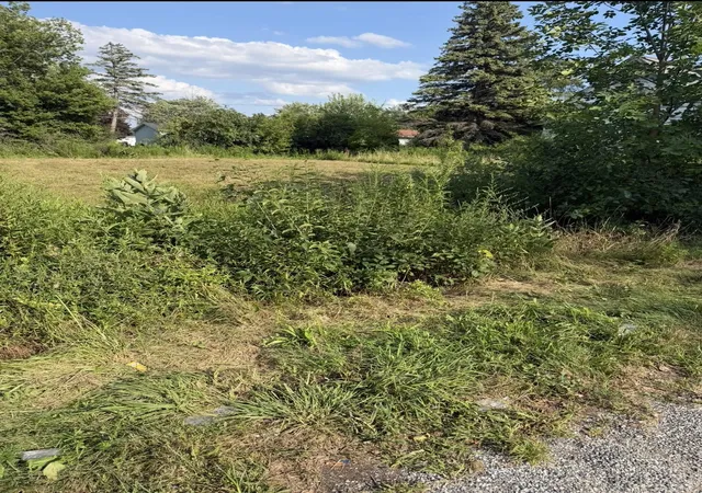 Photo 1 of Land for sale at 318 S 30th Street, Saginaw, MI 48601 | MLS# 50217983 | Listing updated on 2026-08-10