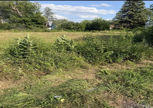 Photo 2 of Land for sale at 318 S 30th Street, Saginaw, MI 48601 | MLS# 50217983 | Listing updated on 2026-08-10