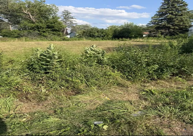 Photo 3 of Land for sale at 318 S 30th Street, Saginaw, MI 48601 | MLS# 50217983 | Listing updated on 2026-08-10