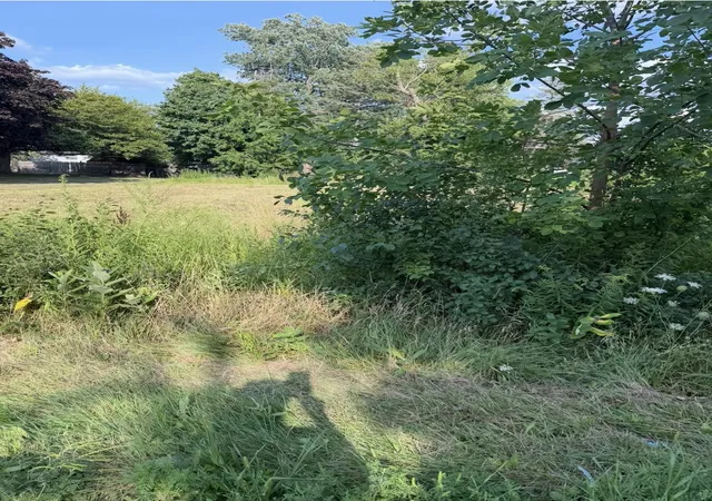 Photo 3 of Land for sale at 318 S 30th Street, Saginaw, MI 48601 | MLS# 50217983 | Listing updated on 2026-08-10