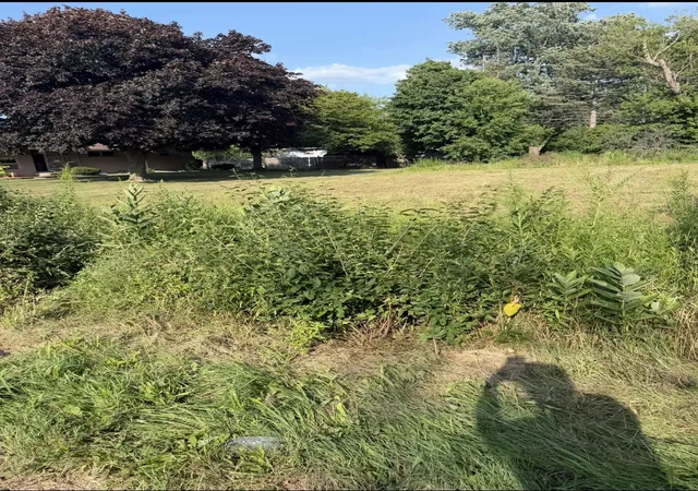 Photo 4 of Land for sale at 318 S 30th Street, Saginaw, MI 48601 | MLS# 50217983 | Listing updated on 2026-08-10