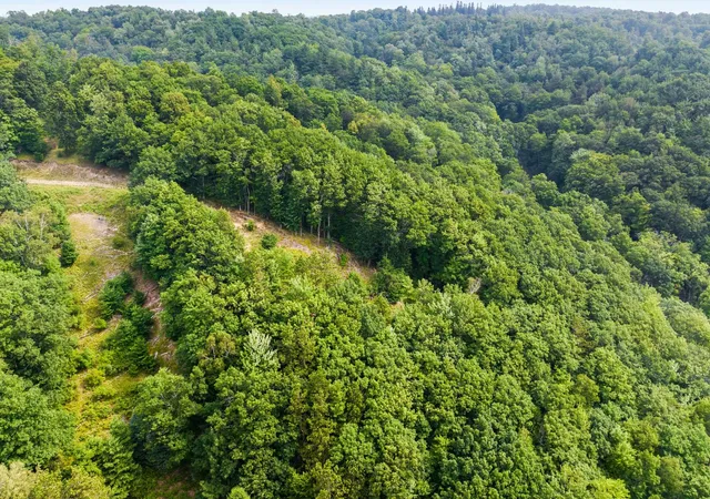4th image of 000 Woodsmere Rd, Frankfort, MI 49617 | MLS# 80072691