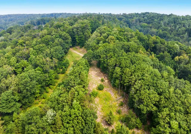5th image of 000 Woodsmere Rd, Frankfort, MI 49617 | MLS# 80072691