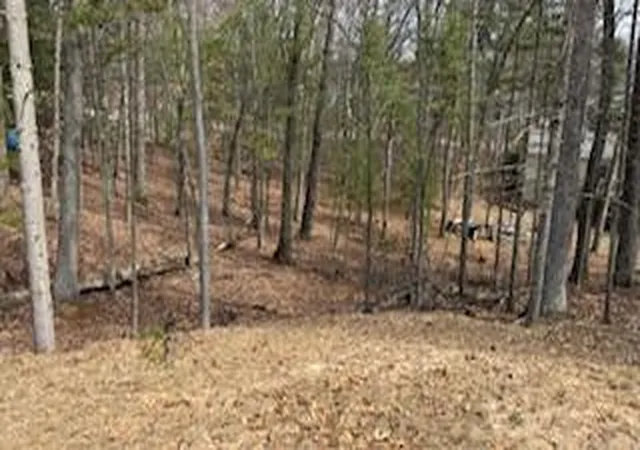 Photo 2 of Land for sale at 0 Mohawk St, Pentwater, MI 49449 | MLS# 70521862 | Listing updated on 2026-07-05