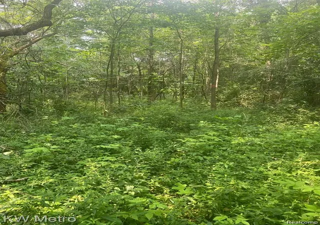 2nd image of 1135 N Baldwin Rd, Oxford, MI 48371 | MLS# 60988683