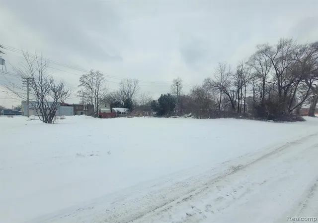 Photo 1 of Land for sale at 3643 30th St, Detroit, MI 48210 | MLS# 60283858 | Listing updated on 2026-07-16