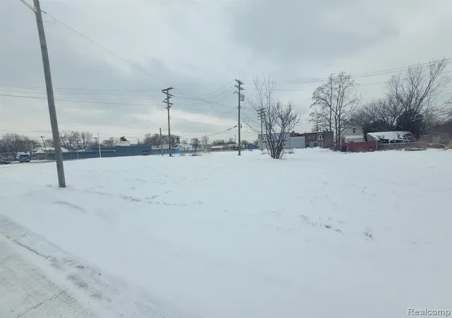 Photo 3 of Land for sale at 3643 30th St, Detroit, MI 48210 | MLS# 60283858 | Listing updated on 2026-07-16