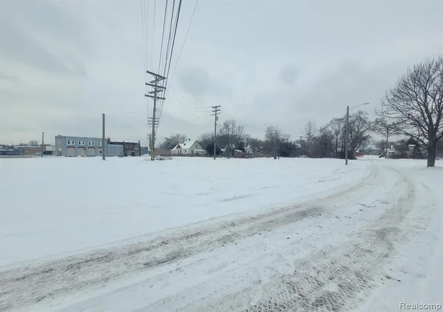 Photo 3 of Land for sale at 3643 30Th St, Detroit, MI 48210 | MLS# 60283858 | Listing updated on 2026-07-16